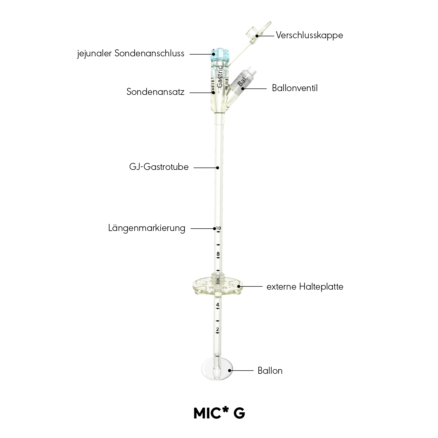 MIC* G Produktdiagramm