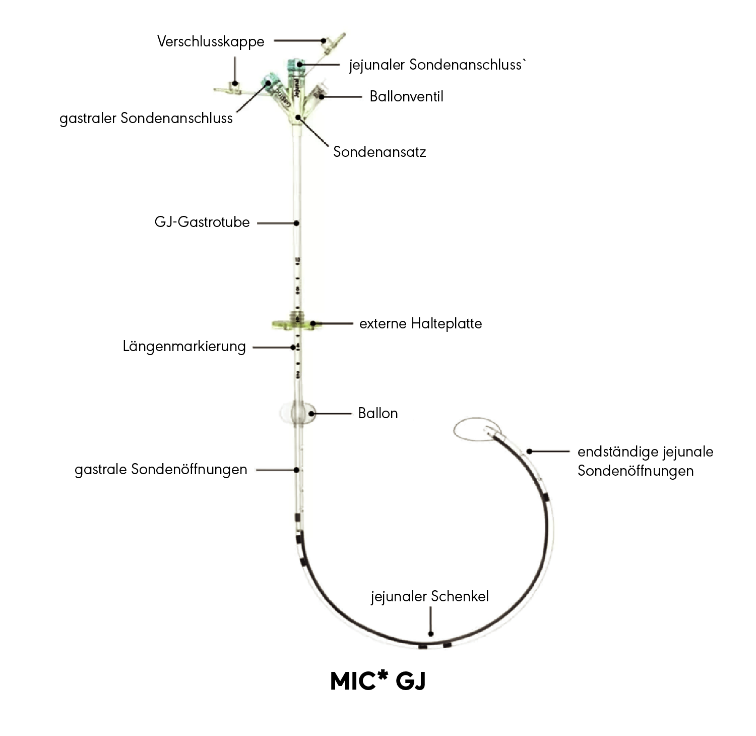 MIC* GJ Produktdiagramm